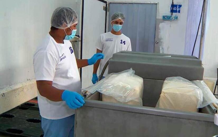 Gobierno fortalece producción láctea con estrategias para garantizar abastecimiento y exportaciones