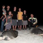 Nicaragua refuerza protección de tortugas marinas