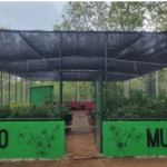 Gobierno impulsa mejoras en Viveros