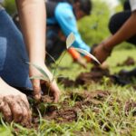 Familias se unen al MARENA para sembrar vida y restaurar ecosistemas