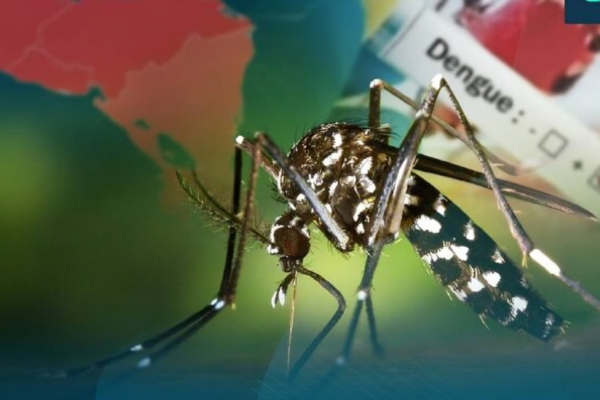 Disminuyen casos de leptospirosis