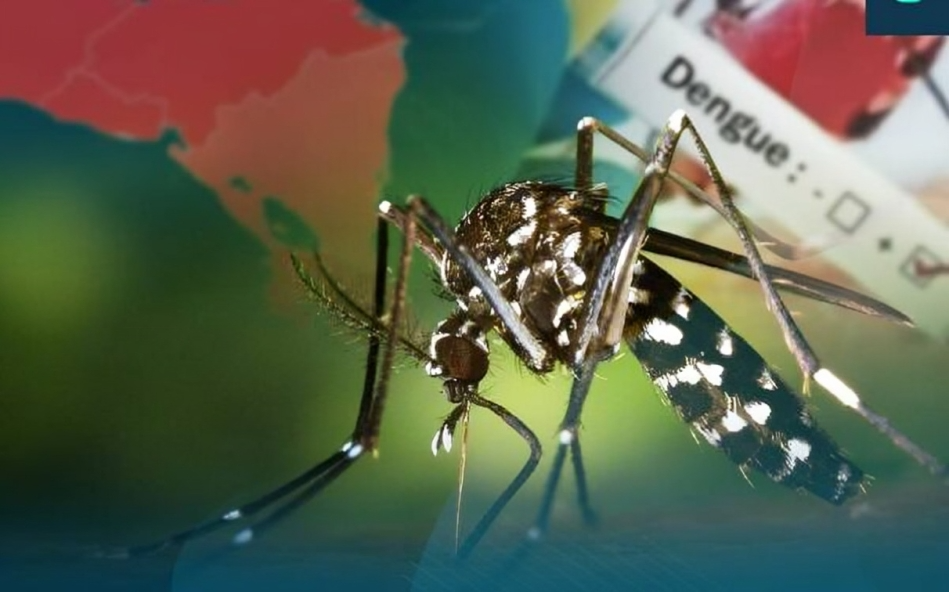 Refuerzan acciones de prevención contra la leptospirosis en Nicaragua