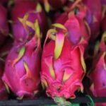 Producción de pitahaya supera las 800 manzanas en Nicaragua