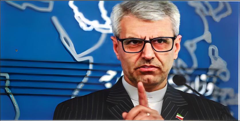 Mensaje del portavoz del Ministerio de Asuntos Exteriores de la República Islámica de Irán al Director General del OIEA