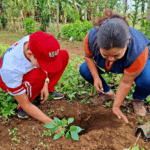 ENACAL sembrara mas de 60 mil arboles a nivel nacional