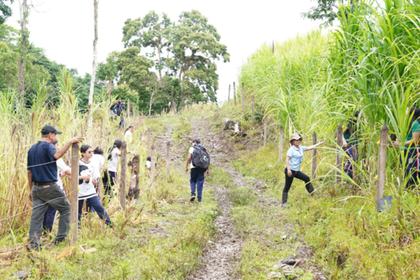 Estudiantes siembran mil árboles en reserva de Biosfera BOSAWAS