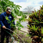 ENACAL garantiza saneamiento diario para 1,350 familias en Condega