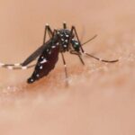 MINSA presenta nuevo informe epidemiológico sobre la salud en Nicaragua