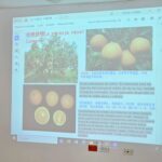 INTA promueve avances citrícolas con innovación y cooperación