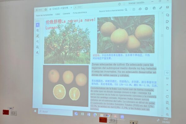 INTA promueve avances citrícolas con innovación y cooperación