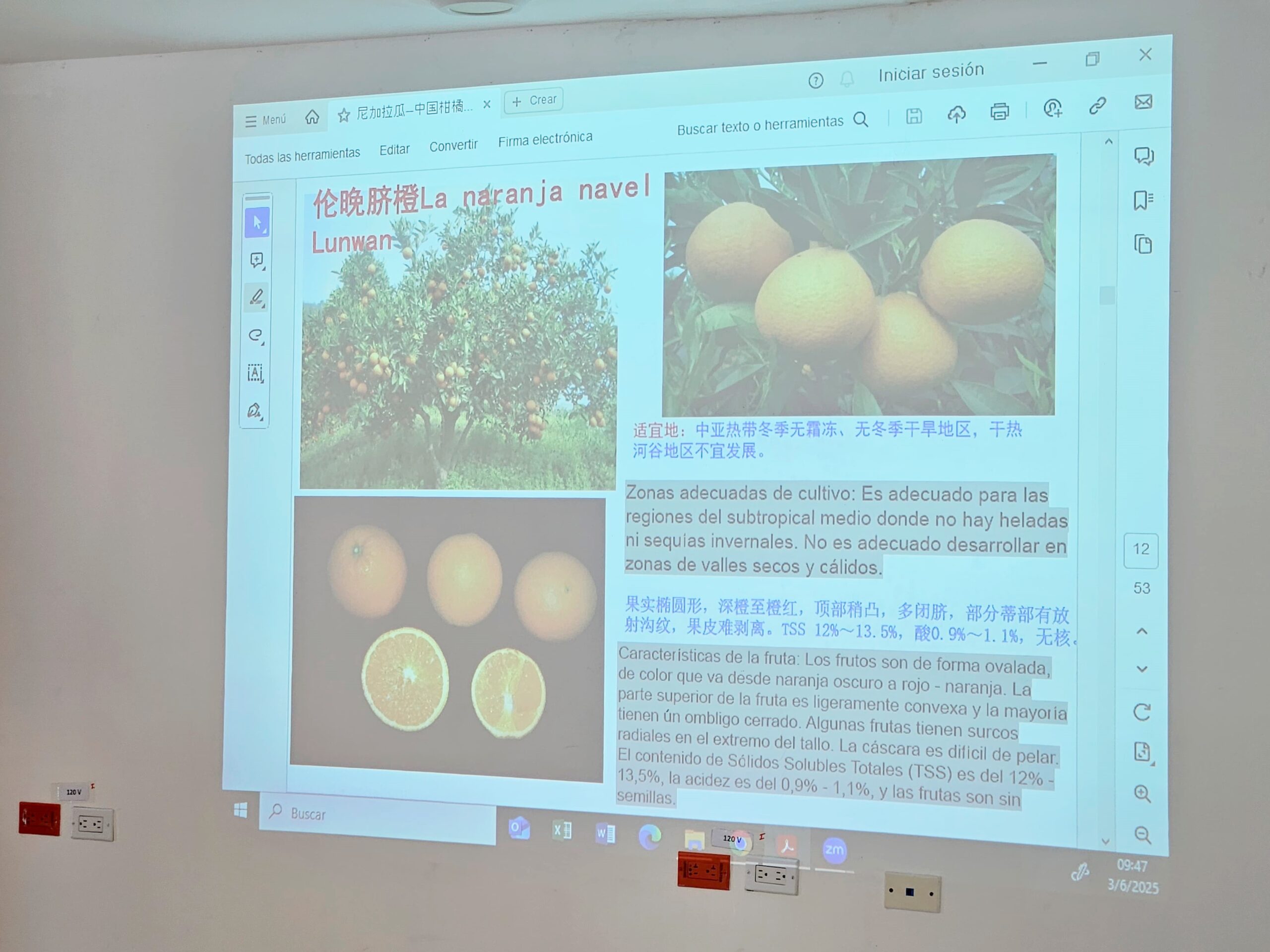 INTA promueve avances citrícolas con innovación y cooperación