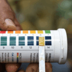 MARENA inicia tercera etapa del Inventario Nacional Forestal 2025 en Siuna