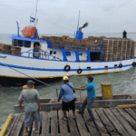 Temporada de langosta inicia con buen ritmo en el Caribe Norte