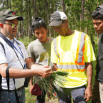 MARENA realiza taller sobre selección de árboles semilleros