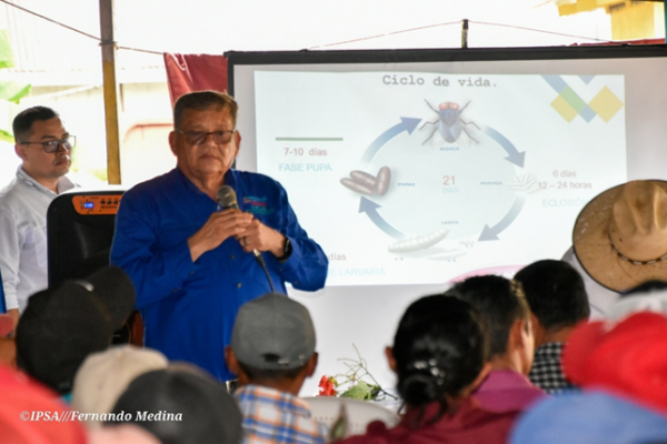 IPSA refuerza control sanitario con productores ganaderos en RACCS y Chontales