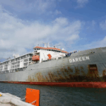 Novillos de Engorde Nicaragüenses son exportados a México