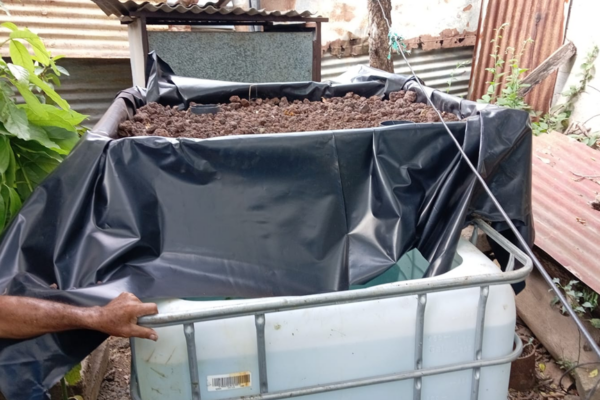 INPESCA impulsa sistemas acuapónicos en Ciudad Sandino para fortalecer la producción y seguridad alimentaria