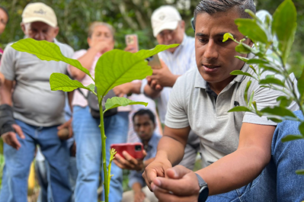 INTA impulsa buenas prácticas para mejorar producción frutal en Masatepe