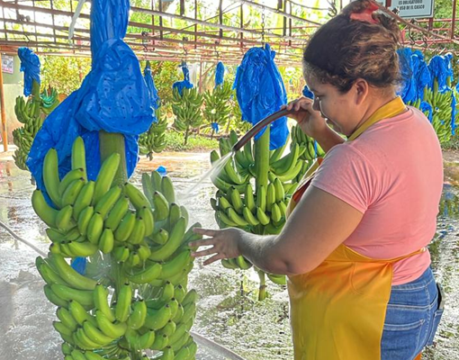 Gobierno promueve desarrollo local con inversión en agricultura, infraestructura y ambiente