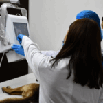 Inauguran clínica veterinaria en Estelí para formación de estudiantes