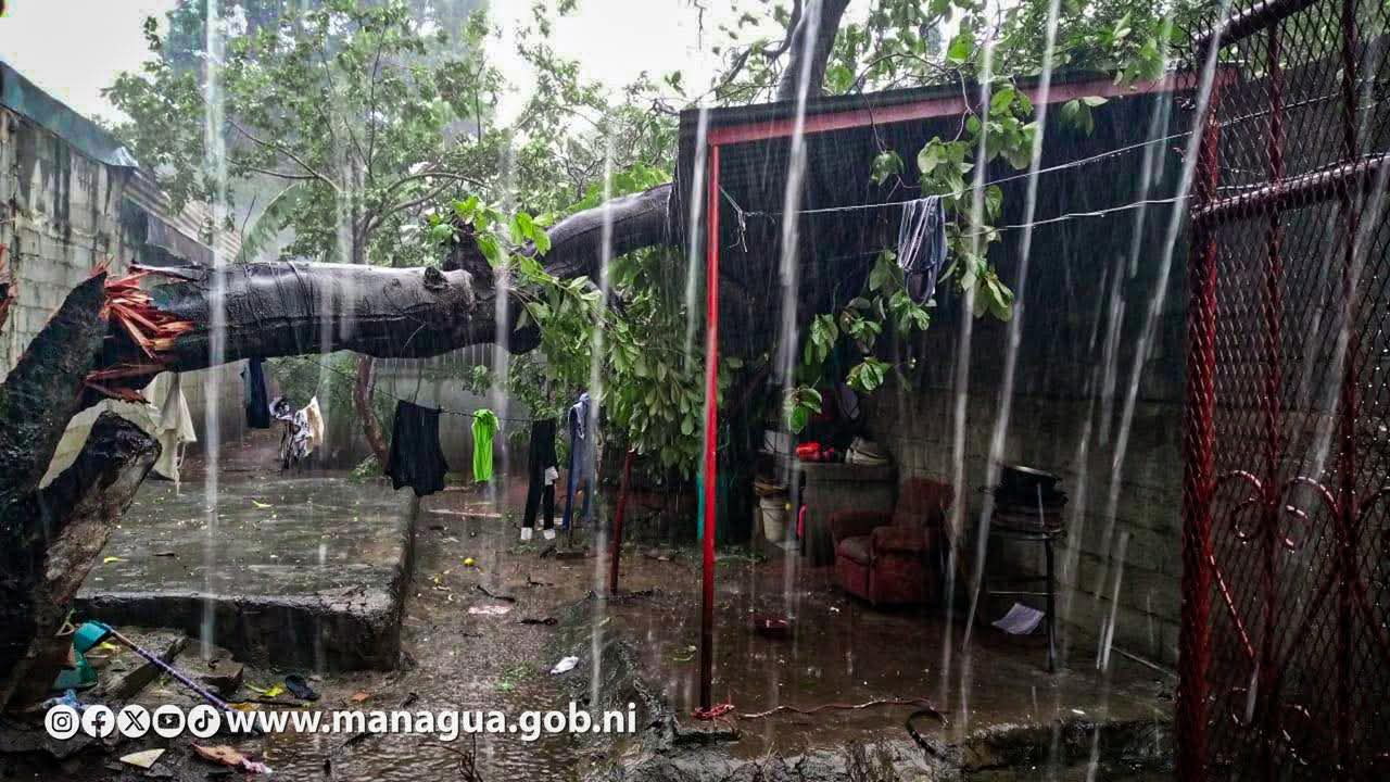 Gobierno de Nicaragua reporta 43 incidencias tras lluvias y fuertes vientos