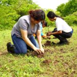 “Verde Que Te Quiero Verde”: Gobierno de Nicaragua impulsa reforestación con más de 7 millones de plantas