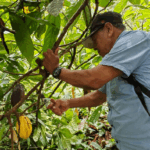 Producción, emprendimientos y educación, pilares del desarrollo