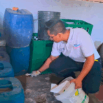 Conoce las fechas de la Segunda Campaña Nacional de Desratización