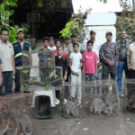 Liberan 61 animales silvestres rehabilitados en la Reserva Chocoyero-El Brujo
