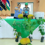 INTA impulsa transformación y valor agregado de la fruta de jaca en Costa Caribe Sur