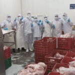 Producción Nacional de Carne Porcina Aporta a la Seguridad Alimentaria y al Empleo en Nicaragua – Agosto 2025