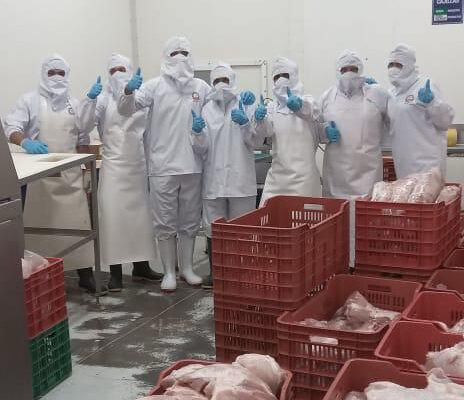 Producción Nacional de Carne Porcina Aporta a la Seguridad Alimentaria y al Empleo en Nicaragua – Agosto 2025