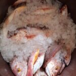 Fortaleciendo la sostenibilidad pesquera en Pacífico Norte