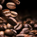 IV Edición de Expocafé se realizará en Nueva Segovia