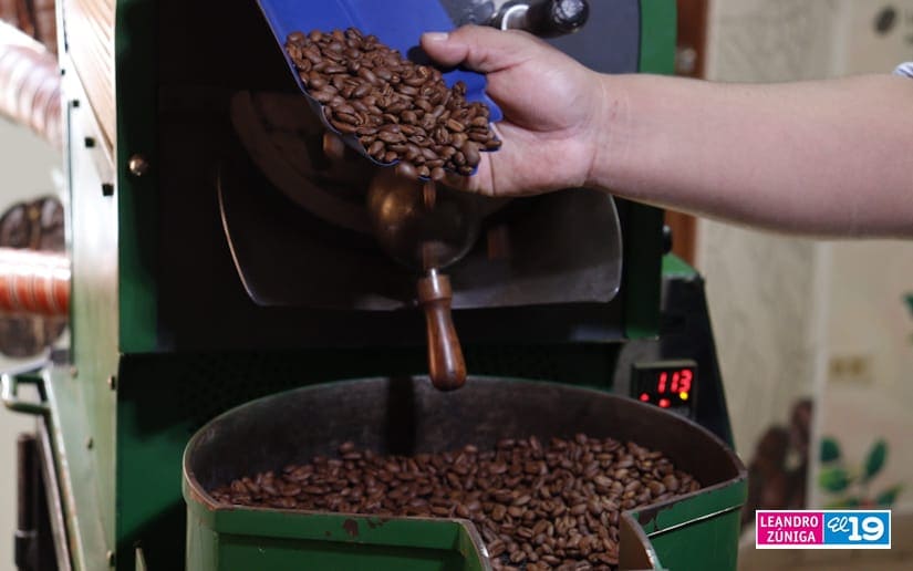 Inaugurarán Escuela de Café en San Juan de Río Coco para fortalecer la producción cafetalera