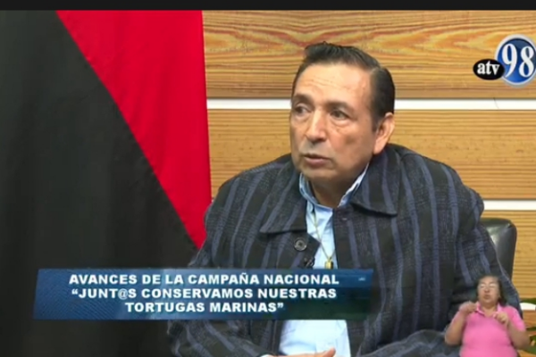 Nicaragua avanza en la protección y conservación de las tortugas marinas