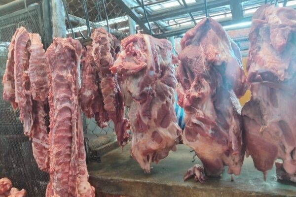Carne Porcina de Enero a Noviembre 2025