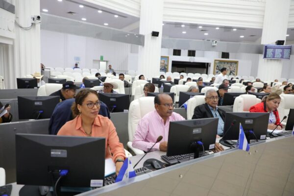 Asamblea Nacional da luz verde a reforma constitucional en materia de seguridad ciudadana