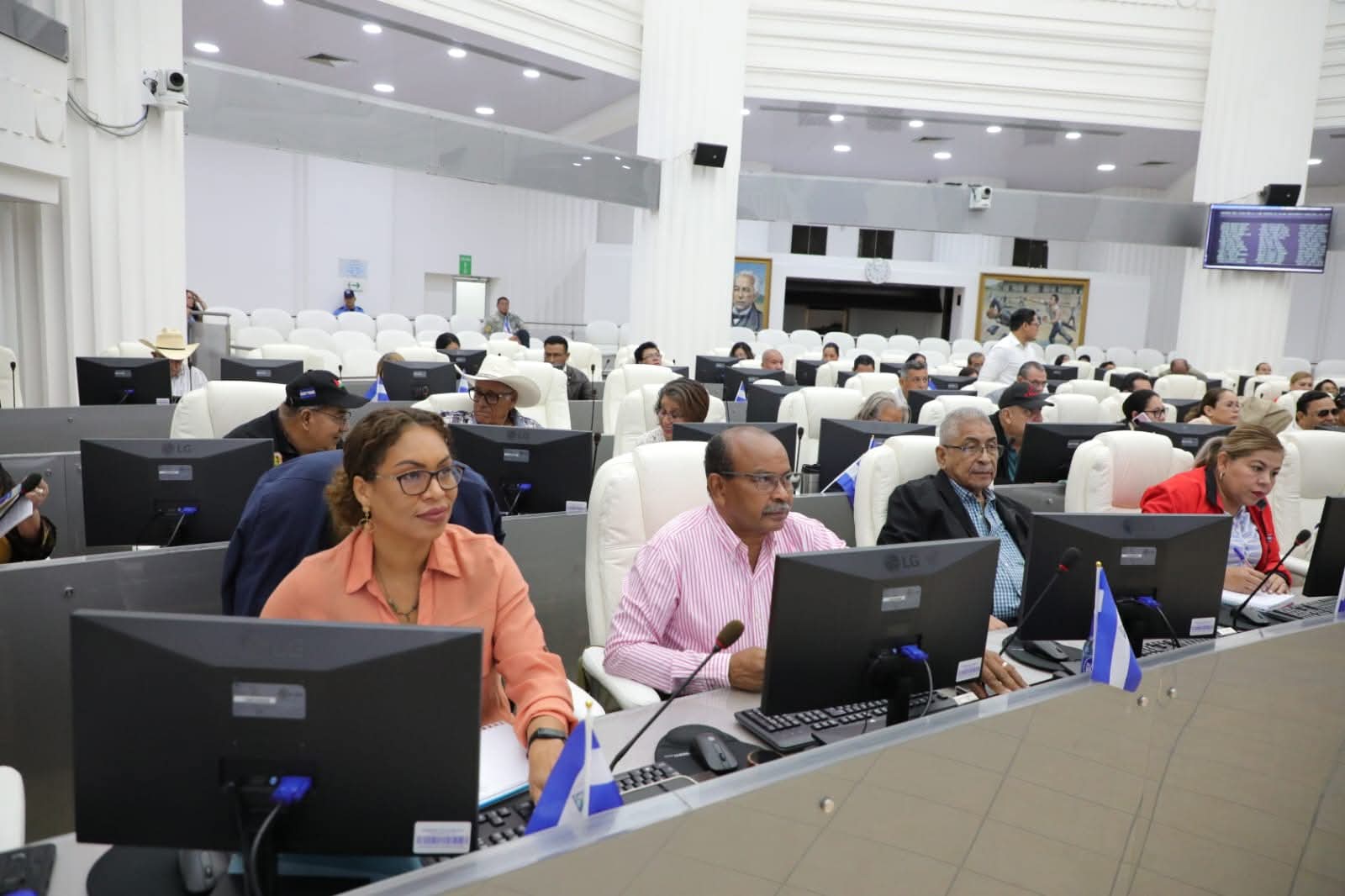 Asamblea Nacional da luz verde a reforma constitucional en materia de seguridad ciudadana