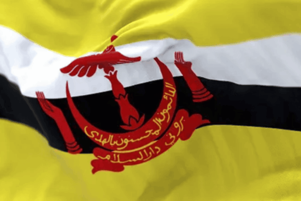 Nicaragua reafirma lazos de amistad y cooperación con Brunéi Darussalam en su aniversario patrio