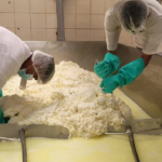 20.3 millones de libras de queso y cuajada se han producido en enero