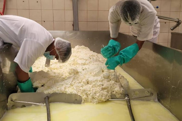 20.3 millones de libras de queso y cuajada se han producido en enero