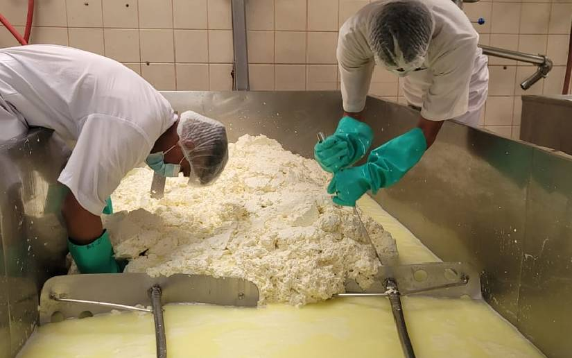 20.3 millones de libras de queso y cuajada se han producido en enero