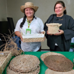 Ministerio Agropecuario impulsa producción de envases biodegradables a base de plátano