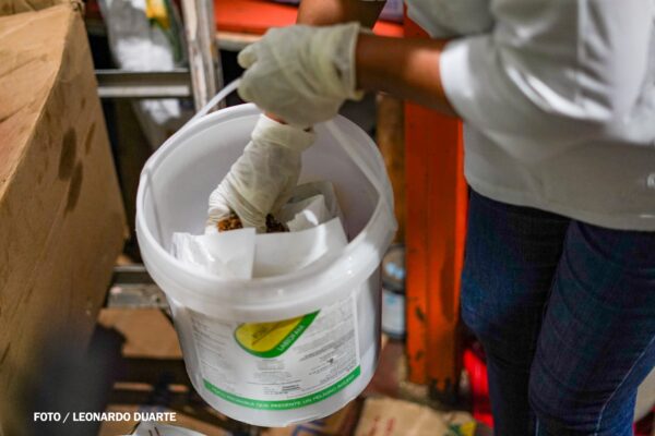 Fortalecen medidas sanitarias con jornada de desratización en el Mercado Israel Lewites