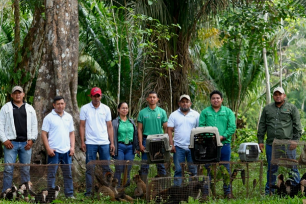 MARENA libera 46 animales silvestres rehabilitados en Cárdenas, Rivas