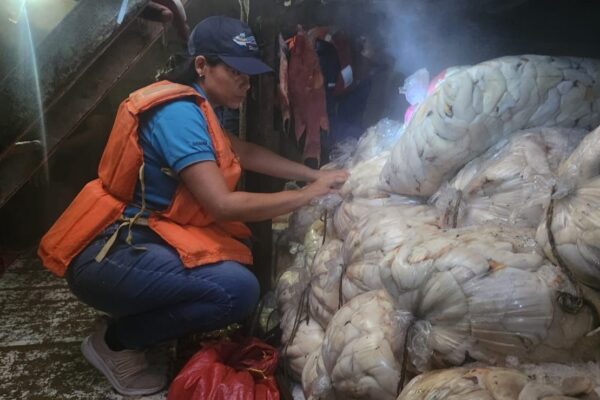 Refuerzan vigilancia sobre pesca de caracol rosado en el Caribe Norte