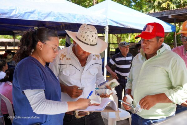 Nicaragua avanza en sanidad agropecuaria y desarrollo ganadero 