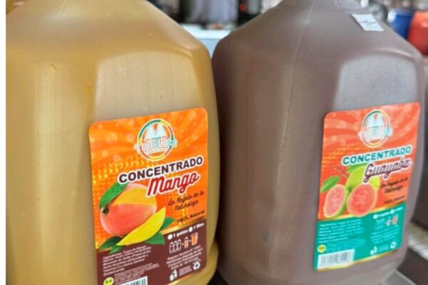 TROPIFRUTA impulsa el valor agregado de frutas tropicales en Nueva Guinea