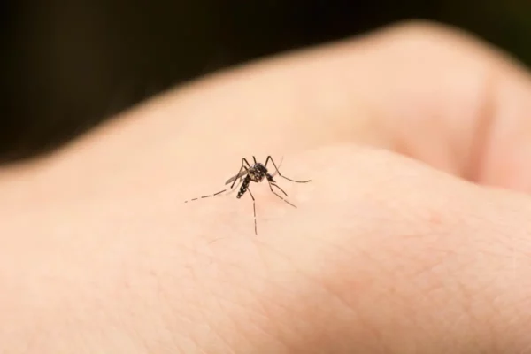 Nicaragua registra menos casos de dengue e influenza